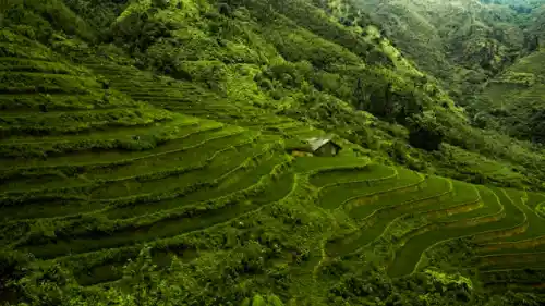 Image of Ha Long Bay with the caption: “Explore Vietnam with ease, apply for your Vietnam eVisa online.”