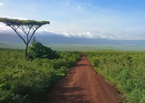Modulo di richiesta eVisa Tanzania