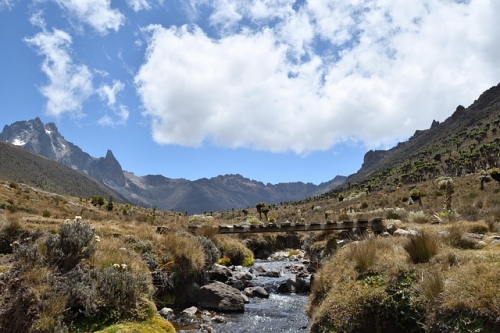 quanto tempo ci vuole per ottenere un visto per il Kenya