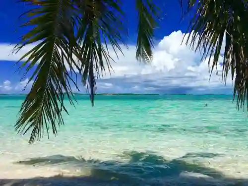 Una spiaggia tranquilla alle Bahamas con acqua turchese e palme.